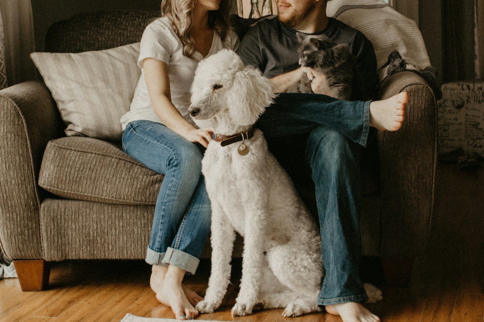 couple sitting on sofa beside dog inside room, home